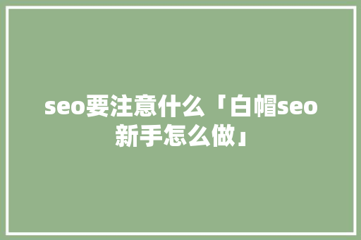 seo要注意什么「白帽seo新手怎么做」
