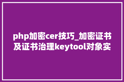 php加密cer技巧_加密证书及证书治理keytool对象实例