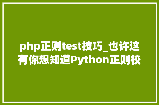 php正则test技巧_也许这有你想知道Python正则校验的最全实现