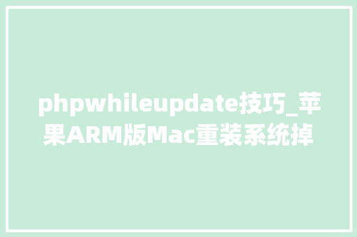 phpwhileupdate技巧_苹果ARM版Mac重装系统掉足这有一份官方解决筹划