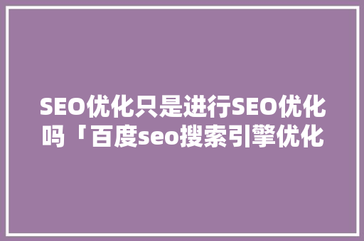 SEO优化只是进行SEO优化吗「百度seo搜索引擎优化」