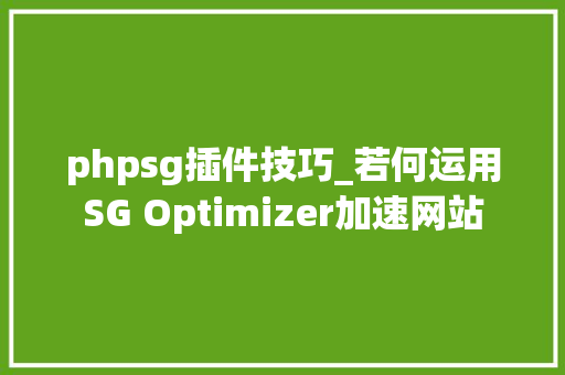 phpsg插件技巧_若何运用SG Optimizer加速网站