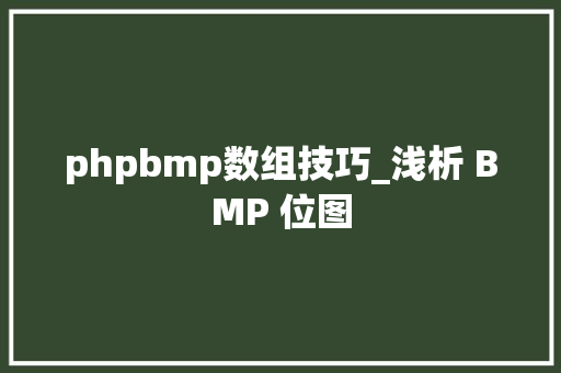 phpbmp数组技巧_浅析 BMP 位图