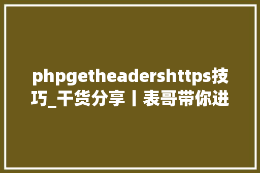 phpgetheadershttps技巧_干货分享丨表哥带你进修导入表及导入表注入