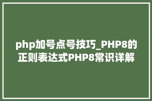 php加号点号技巧_PHP8的正则表达式PHP8常识详解