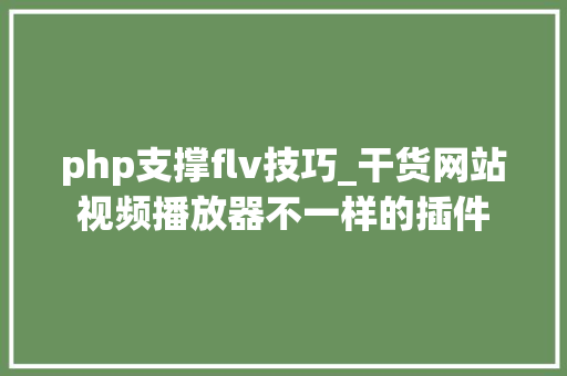 php支撑flv技巧_干货网站视频播放器不一样的插件