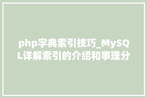 php字典索引技巧_MySQL详解索引的介绍和事理分析