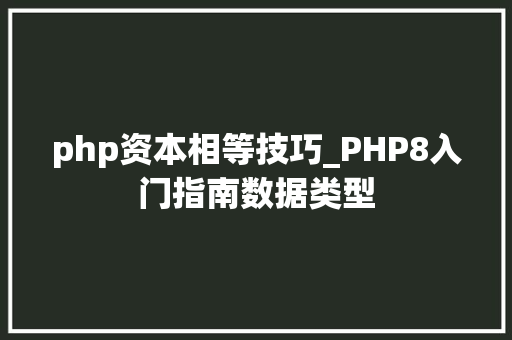 php资本相等技巧_PHP8入门指南数据类型