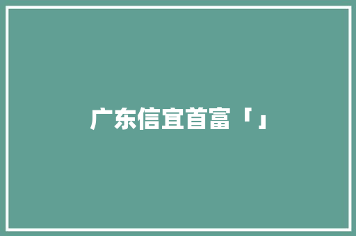 广东信宜首富「」