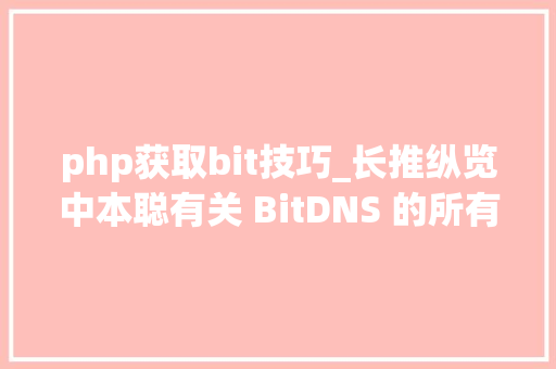 php获取bit技巧_长推纵览中本聪有关 BitDNS 的所有帖子我创造了什么