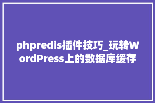 phpredis插件技巧_玩转WordPress上的数据库缓存插件Redis Object Cache