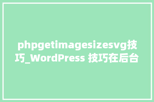 phpgetimagesizesvg技巧_WordPress 技巧在后台插入图片时刻尺寸选择框只保留完整尺寸