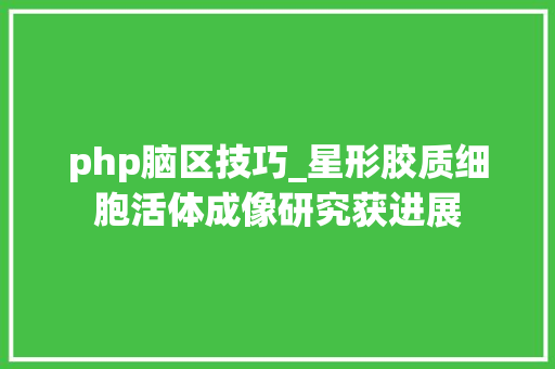 php脑区技巧_星形胶质细胞活体成像研究获进展