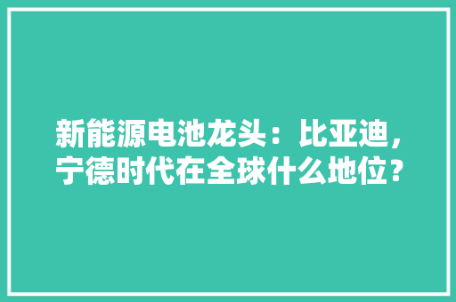 新能源电池龙头：比亚迪，宁德时代在全球什么地位？谁更有前途「宁德百度整站优化服务」 新能源电池龙头：比亚迪，宁德时代在全球什么地位？谁更有前途「宁德百度整站优化服务」 Web前端