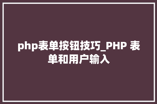 php表单按钮技巧_PHP 表单和用户输入