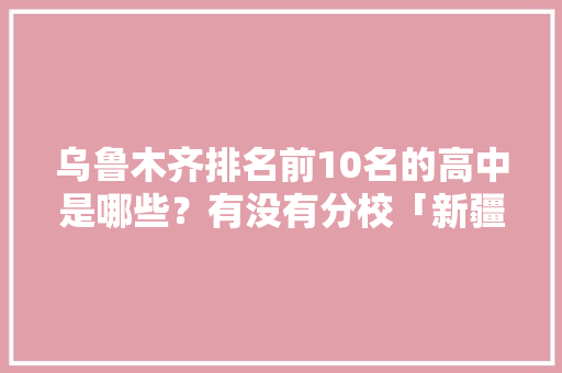 乌鲁木齐排名前10名的高中是哪些？有没有分校「新疆seo网络优化招聘」