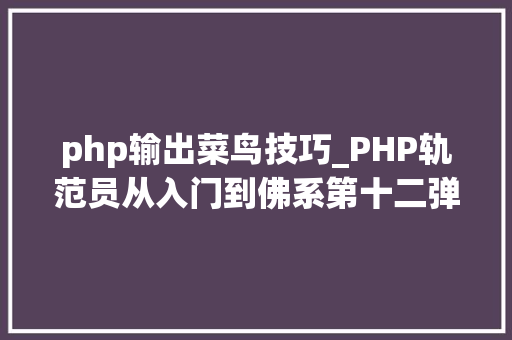 php输出菜鸟技巧_PHP轨范员从入门到佛系第十二弹PHP Switch 语句