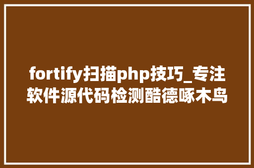 fortify扫描php技巧_专注软件源代码检测酷德啄木鸟想让安然贯穿IT开拓流程