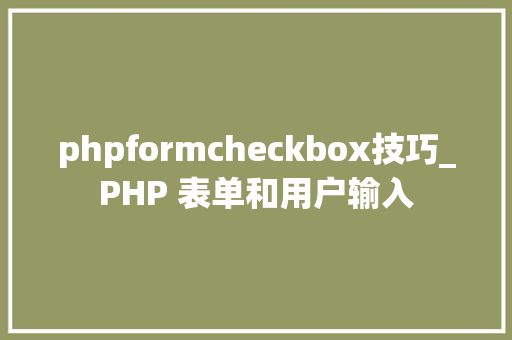 phpformcheckbox技巧_PHP 表单和用户输入