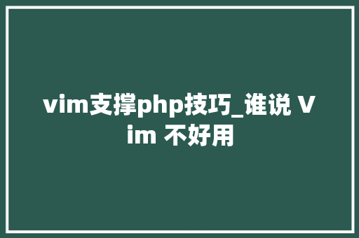 vim支撑php技巧_谁说 Vim 不好用