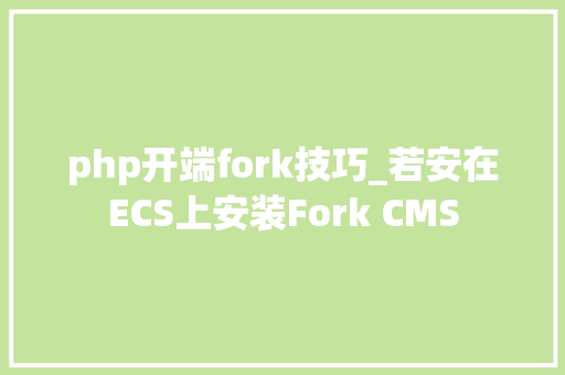 php开端fork技巧_若安在ECS上安装Fork CMS