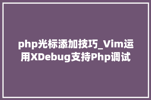 php光标添加技巧_Vim运用XDebug支持Php调试