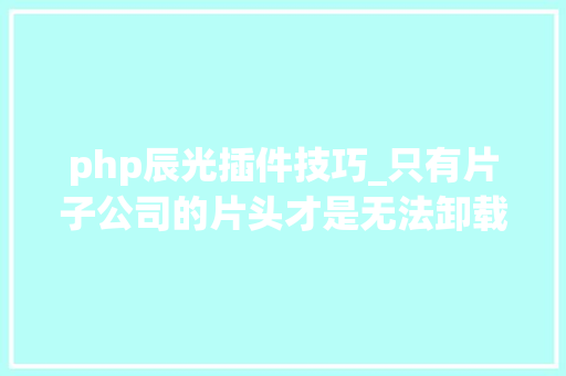 php辰光插件技巧_只有片子公司的片头才是无法卸载的强制插件