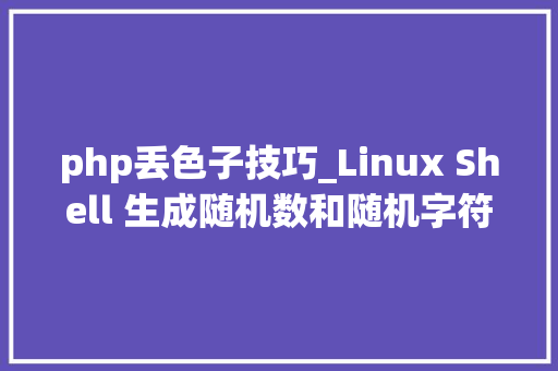 php丢色子技巧_Linux Shell 生成随机数和随机字符串