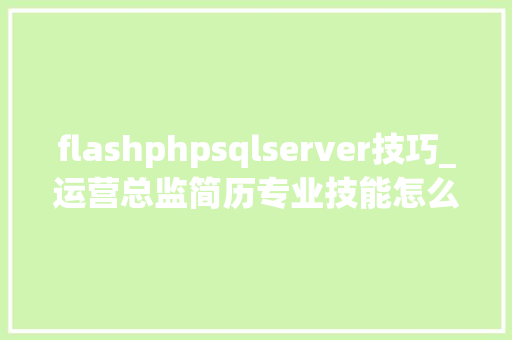 flashphpsqlserver技巧_运营总监简历专业技能怎么写