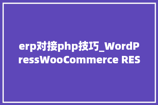 erp对接php技巧_WordPressWooCommerce REST API设置和对接ERP的教程