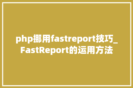 php挪用fastreport技巧_FastReport的运用方法