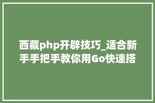 西藏php开辟技巧_适合新手手把手教你用Go快速搭建高机能可扩展的IM系统