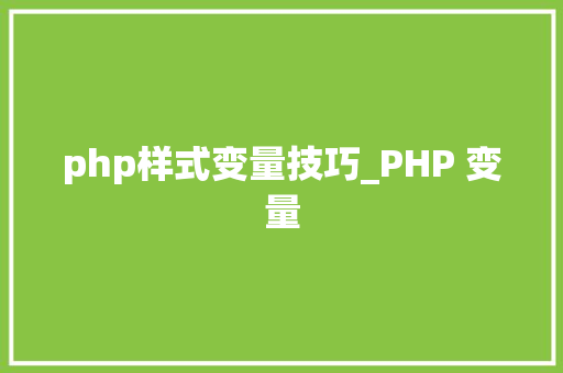 php样式变量技巧_PHP 变量