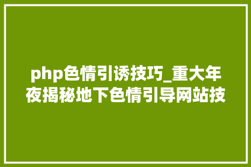 php色情引诱技巧_重大年夜揭秘地下色情引导网站技能面深入分析他们的赚钱套路