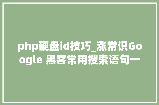 php硬盘id技巧_涨常识Google 黑客常用搜索语句一览  原力计划