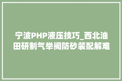 宁波PHP液压技巧_西北油田研制气举阀防砂装配解难题