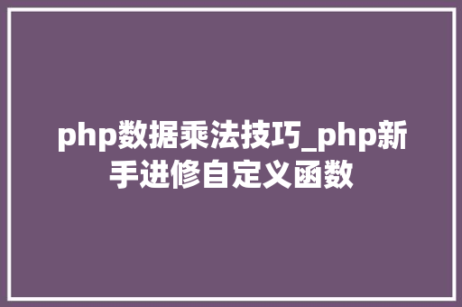 php数据乘法技巧_php新手进修自定义函数