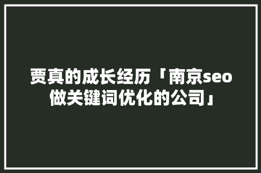 贾真的成长经历「南京seo做关键词优化的公司」