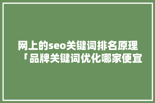 网上的seo关键词排名原理「品牌关键词优化哪家便宜」