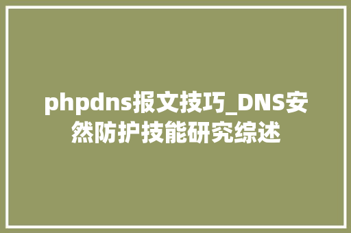 phpdns报文技巧_DNS安然防护技能研究综述
