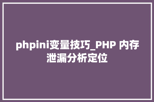 phpini变量技巧_PHP 内存泄漏分析定位