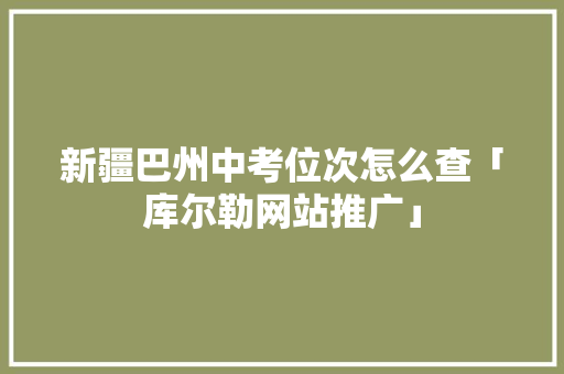 新疆巴州中考位次怎么查「库尔勒网站推广」