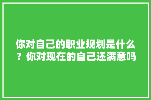你对自己的职业规划是什么？你对现在的自己还满意吗「西安seo网站关键词优化」