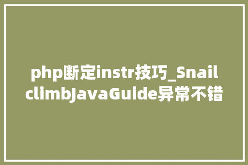 php断定instr技巧_SnailclimbJavaGuide异常不错的总结强烈建议保存下来