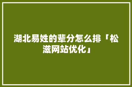 湖北易姓的辈分怎么排「松滋网站优化」