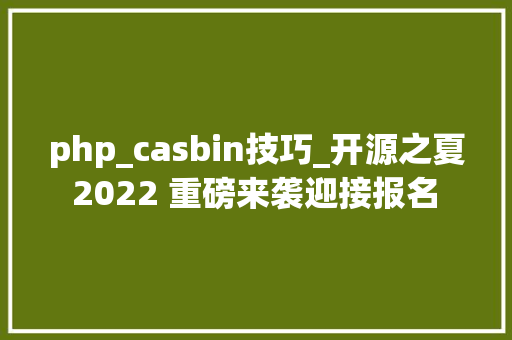 php_casbin技巧_开源之夏 2022 重磅来袭迎接报名 Casbin社区项目