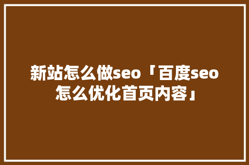 新站怎么做seo「百度seo怎么优化首页内容」