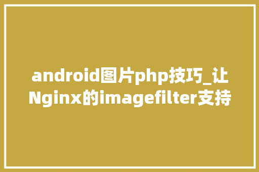 android图片php技巧_让Nginx的imagefilter支持高压缩质量无差异webp图片格式