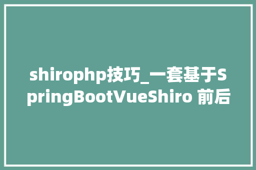 shirophp技巧_一套基于SpringBootVueShiro 前后端分离 开拓的代码生成器