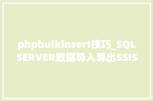 phpbulkinsert技巧_SQLSERVER数据导入导出SSISBULK INSERT等